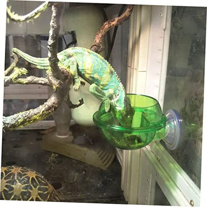 balacoo 4pcs Reptile Feeder Bowl with Cup Dragon Beard Basin for Lizard Gecko Escape Dish for Easy Feeding Design for