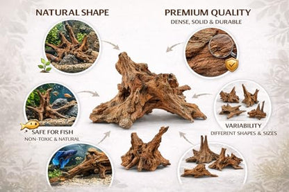 Azil Natural Driftwood 9''-12'' (2 Pieces) – Perfect Aquarium Decoration for Fish Tanks, Freshwater Aquariums, Terrariums, Aquascaping, Hardscaping, Aquatic Plants - size: driftwood 9'' - 12''