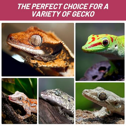 Crested Gecko Food, Fruit Mix Fig and Insects Complete Diet Gecko Food 2oz