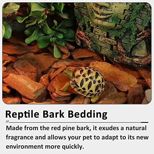 Hamiledyi 5 Pcs Reptile Plants Terrarium Hanging Fake Plant Leaves and Reptile Bark Bedding Tortoise Habitat Substrate Natural Terrarium Bark for Snake Spiders Bearded Dragons Hermit Crabs Geckos