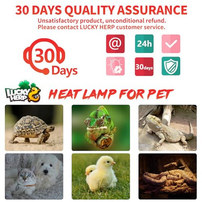 LUCKY HERP Reptile Heat Lamp - 75W Ceramic Heat Emitter Reptile Heat Lamp Bulbs (1 Pack), No Light Ceramic Heat Bulb, Heat Lamp for Reptiles Amphibian Chicken Pet Brooder Coop Lizard Turtle - color: Ceramic Heat Emitter, size: 75W 1-Pack