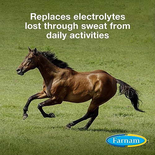 Farnam Apple Elite Horse Electrolytes Powder Supplement, Replaces Vital Minerals, Encourages Hydration, Sugar-Free, Contains Sodium, Potassium, Calcium & Magnesium, Apple Flavored, 5 lb - size: 20 pounds
