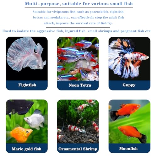 WEAVERBIRD Aquarium Breeder Box, Fish Breeding Box, Acrylic Breeder Isolation Divider Hatching Boxes, Floating Incubation Box, Round Isolation Hatchery Feeding Boxes for Small Fish Fry Hatchery - size: Round
