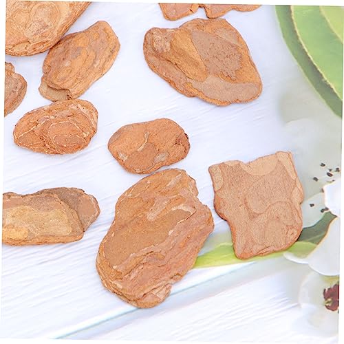 DOITOOL 1pack Natural Pine Bark Cushion for Reptile Box for Lizard Chameleon and Habitat Decor Provides Natural Environment Great for Crawlers