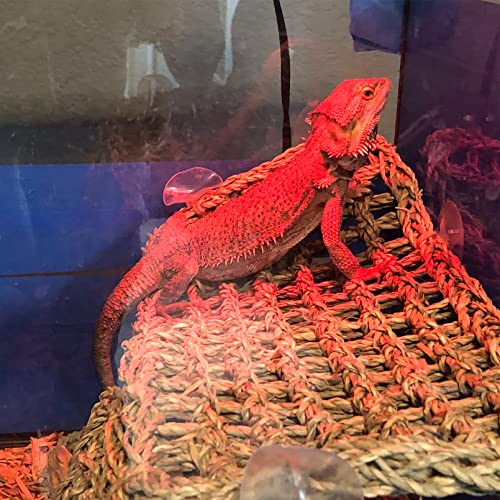 Seagrass Hammock for Bearded Dragon,Large Reptile Hammock with Suction Cups Lizard Lounger Bed Jungle Climber Vines Chameleon Terrarium Habitat Decor for Bearded Dragons,Geckos,Snakes