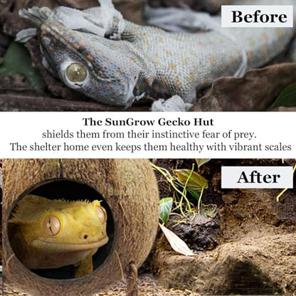 SunGrow Crested Gecko, Snake & Ball Python Coco Hut, Treat & Food Dispenser, Climbing Porch, Hiding, Ideal for Reptiles, Amphibians (with Ladder)