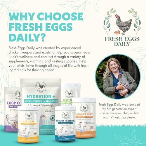 Fresh Eggs Daily Poultry Electrolyte Powder - Hydration Support Drink Mix with Probiotics for Chickens & Ducks - Natural Supplement for Environmental Challenges, Immune Health & Egg Quality - 8 Oz