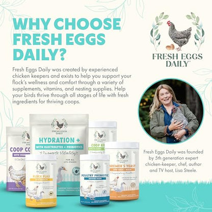 Fresh Eggs Daily Poultry Electrolyte Powder - Hydration Support Drink Mix with Probiotics for Chickens & Ducks - Natural Supplement for Environmental Challenges, Immune Health & Egg Quality - 8 Oz