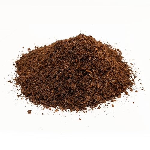 Zoo Med Eco Earth Compressed Coconut Fiber Substrate Reptiles 1 Brick - 3 Pack