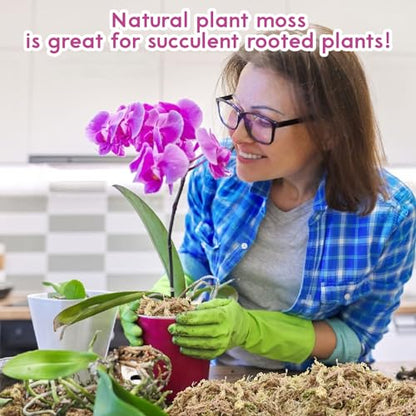 Riare 5.3 OZ Premium Sphagnum Moss for Plants- 6QT Natural Long Fiber Sphagnum Peat Moss Dried, Plants Moss Orchid Potting Mix for Orchids Repotting, Carnivorous Succulent Potted Plants and Reptiles - size: 6QT/5.3oz