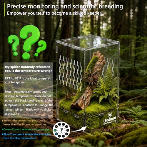 Jumping Spider Enclosure, Front-Opening Acrylic Spider Terrarium with Magnetic Door,Laser-Cut Biomimetic Ventilation System, Escape-Proof for Feeder Insects (6.5"x6.5"x12") - size: 6.5"x6.5"x12"