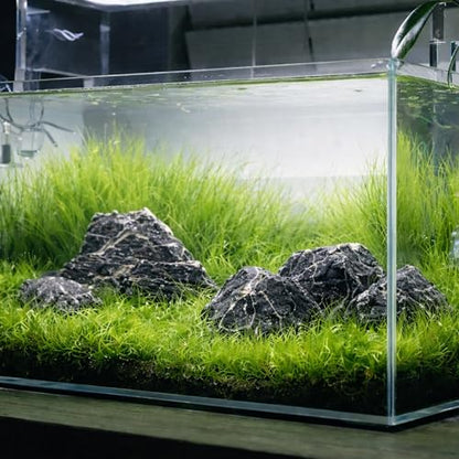 2.2-8.1 Inches Natural Seiryu Stone, 5 PCS Mixed Sizes Aquarium Rocks for Aquascaping, Iwagumi Layouts, Terrariums & Aquarium Décor - size: 2.2-8.1 in