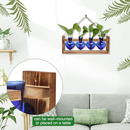Heart Plant Terrarium Kit Gift for Women Plant Lover Glass Vases - color: Blue