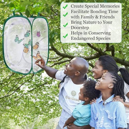 SunGrow Foldable Butterfly Habitat, 24" Butterfly Cage for Caterpillars, Create Farm, Enclosure for Breeding Soldier Fly, Ladybug, Dragonfly, or Housefly for Chicken and Reptile Feed, Green