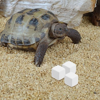 BESPORTBLE 12pcs PET Natural Blocks for Reptiles Supplement for Shell Growth and Health Essential Reptile Accessories for Terrarium Kits