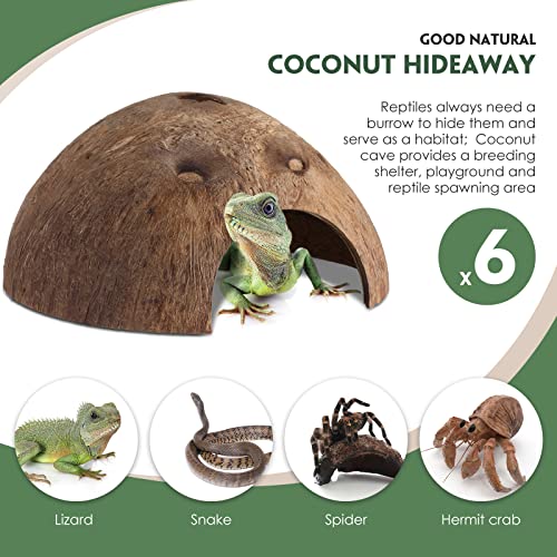 Woanger 6 Pcs Natural Coconut Reptile Hideouts, Coco Hut Hide Toys for Lizards, Geckos, Hermit Crabs, Snakes, Tarantulas, Small Reptile Habitat Decoration Supplies