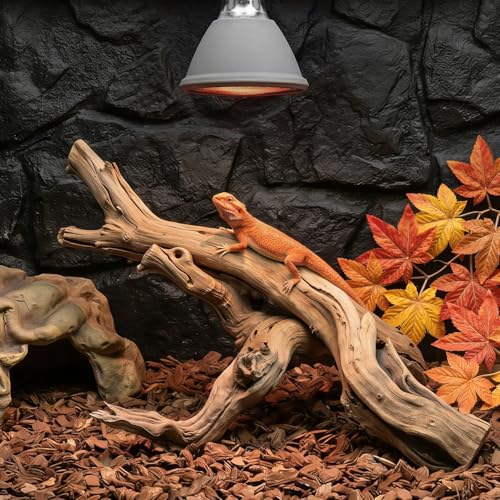 Deep Heat Projector for Reptiles 100W, Carbon Fiber Infrared Heat Lamp Bulb, Virtually No Visible Light Basking Heater for Bearded Dragon, Turtle, Gecko, Snake