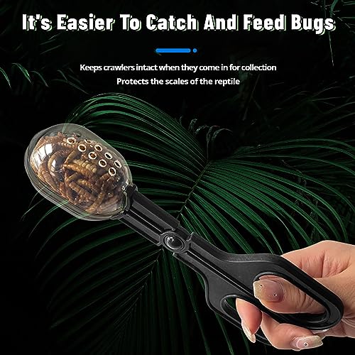 ZLY Reptile Feeding Clamp Poop Scoop Cleaning Tool for Lizard Bearded Dragon | 3 pcs Plastic Reptile Feeding Clamp for Tortoise Lizard Frog Spider and Other Small Animals,Plastic Reptile Poop Scoop