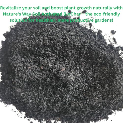 Generic Horlticural Activated Charcoal for Plants, 4 Quarts, Indoor and Outdoor, Charcoal for Terrariums, Conditioning for Bonsai Soil and Catus Soil, Black, NWS-4q-ABC