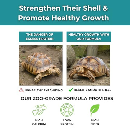 Baby Sulcata Food with Calcium - Human Grade Scientifically Formulated Diet for Healthy Growth - 4.5 oz 30-Day Supply for Grassland Tortoise Lovers! - size: 4.5 Ounce (Pack of 1)