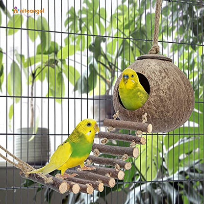 Niteangel Natural Coconut Hamster Hideaway with Ladder, Bird and Small Animal Toy (House with Ladder, Smooth Surface) - color: Smooth Surface
