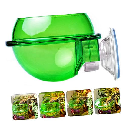 HEMOTON 4Pcs Lizard Feeder Bowl with Suction Cup Escape Design for Reptiles Easy to Stable Pet Dish for Food and Water for Bearded Dragons Geckos Frogs