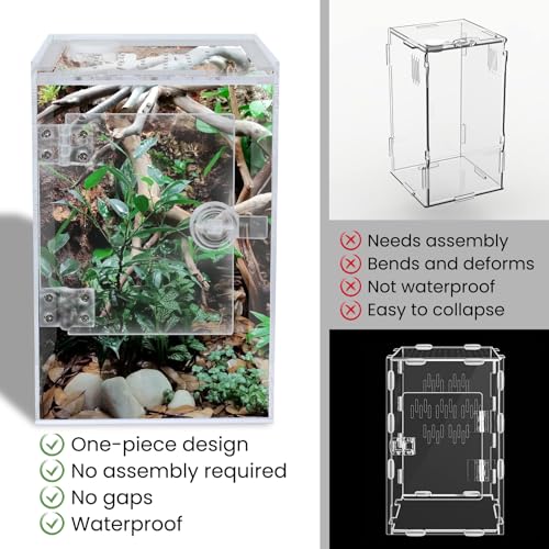 Tall Arboreal Tarantula Enclosure【𝐍𝐨 𝐀𝐬𝐬𝐞𝐦𝐛𝐥𝐲 𝐑𝐞𝐪𝐮𝐢𝐫𝐞𝐝】, Jumping Spider Enclosure, Front Above Opening, Cross Ventilation, Acrylic Arboreal Reptile Enclosure,Praying Mantis Enclosure - size: 6*6*9in