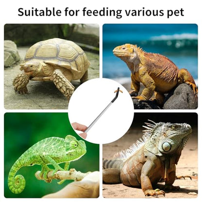 Novery 2PCS Stainless Steel Reptile Feeding Tongs with Rubber Tip, 10.6” Straight & Curved Long Tweezers for Aquarium or Craft, Bearded Dragon Tank Snakes Enclosure Accessories, Terrarium Supplies