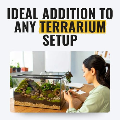 Creation Cultivated 12+ Cubaris Panda Isopods Live - Live Bugs for Bioactive Terrarium, Vivarium Clean-up Crews, and Reptile Food - Easy-Care Isopods for Terrarium