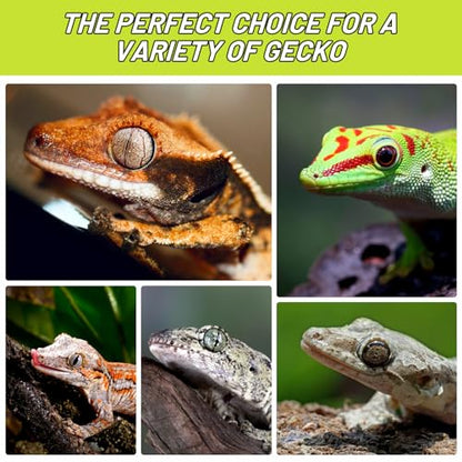Crested Gecko Food, Fruit Mix Banana Complete Diet Gecko Food 2oz