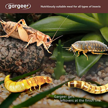 Gargeer Bugs and Insects Food. Complete Gel Diet for Roaches, Crickets, Worms, Dubia, Fly, etc. Made in The USA, Using Premium Nutritional Ingredients. 3oz Powder Turns into 1 Pound of Ready Food. - size: 3 Ounce (Pack of 1)