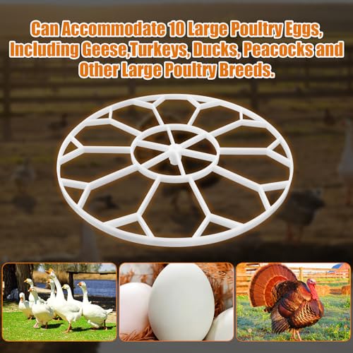 JGT360 Jumbo Goose Heavy Incubator Tray, Holds 10 Jumbo Eggs, for Nurture Right 360 Incubator Turner, Compatible with Large & Heavy Breed Eggs (White)