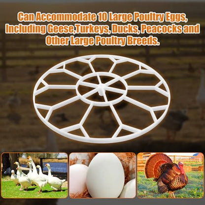 JGT360 Jumbo Goose Heavy Incubator Tray, Holds 10 Jumbo Eggs, for Nurture Right 360 Incubator Turner, Compatible with Large & Heavy Breed Eggs (White)