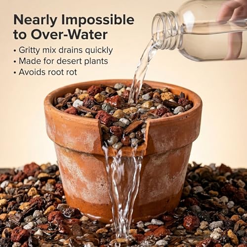 Molly's Succulent Mix - Premium Gritty Soilless Potting Mix for Succulents, Cactus and Bonsai - Contains Akadama, Hyuga, Bark Fines, Pumice, Lava Rock, Mycorrhizae 5 Dry Quarts - size: 5 Dry Quarts, style: Succulents & Cacti