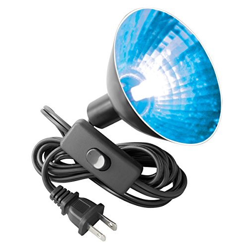 Zilla 12 Pack of Day Blue Mini Halogen Bulbs, 50 Watts, Efficient Reptile Heat and Lighting