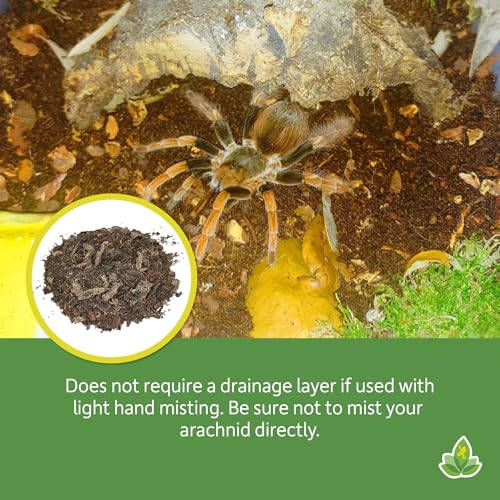 Josh's Frogs Arachnid BioBedding Bioactive Substrate (2 Quart) - size: Small
