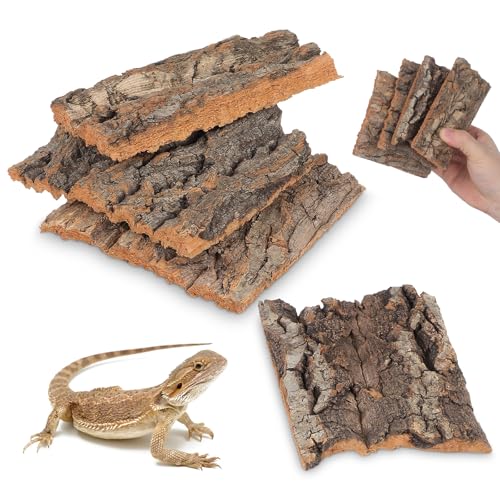 BESPORTBLE 8pcs Natural Cork Bark for Reptile Hide and Climbing, Real Wood Tree Bark Terrarium Decor for Geckos Lizards Tortoises and Snakes, Bioactive Habitat Accessories for Tank Landscaping