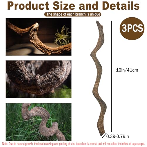 BNOSDM Reptile Forest Climbing Branch Decor Crested Gecko Climb Wood Natural Branches Tree for Snake Frog Chameleon Spider Bearded Dragon Terrarium Habitat Tank Accessories,3PCS