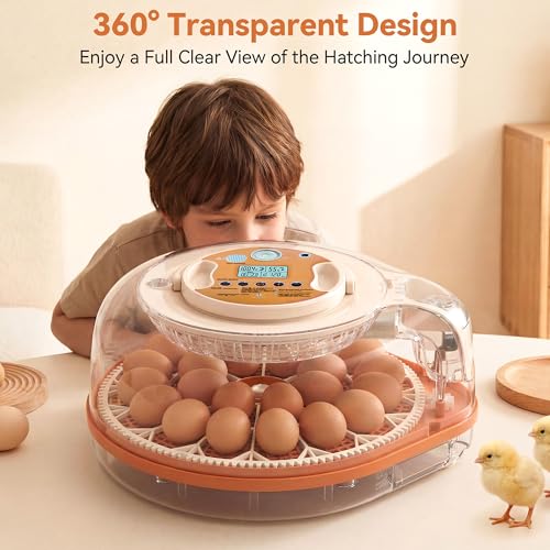 26-59 Egg Incubator with Automatic Egg Turning, Voice-Controlled Machine,Temperature & Humidity Control, Built-in Egg Candler, 360° View Clear Lid for Hatching Chicken Duck Quail Goose Eggs - color: Orange