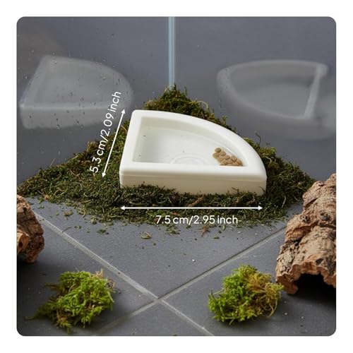 Gralara Split Design Reptile Bowl Multi-Functional Anti-Containment Worm to Clean Terrarium Accessory, S - size: S