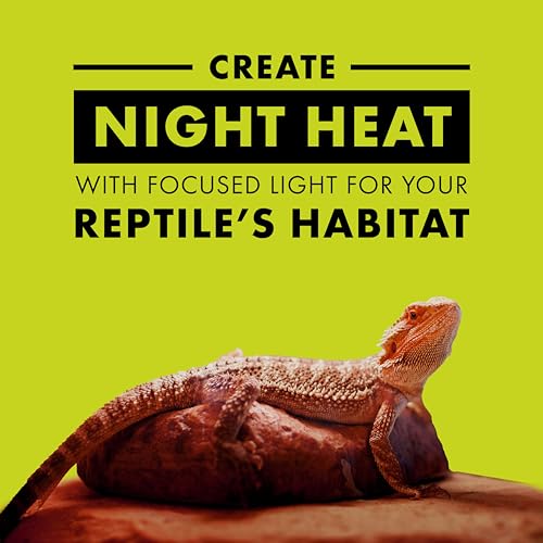 Zilla Incandescent Spot Bulb, for Nocturnal Reptile Species, Night Red - size: Pack of 1, style: Night Red (75W)