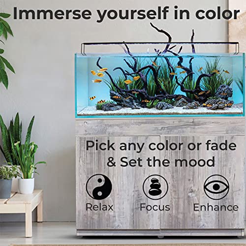 ColorCast Smart LED Aquarium Background Light Kit with Frosted Background Film | Smartphone and Voice Control | 24/7 Timers | Alexa and Google Home | for Aquariums, Terrariums and Vivariums | 18"-32" - size: 18" | 18" to 32"