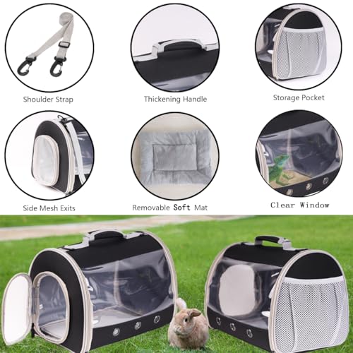 Bearded Dragon Travel Carrier Backpack,Lizard Backpack Carrier,Space Capsule Clear Bubble Window Astronaut Reptile Carrier Backpack for Guinea Pig,Sugar Glider,Bunny (Green, TPU Carrier+MAT) - color: Green
