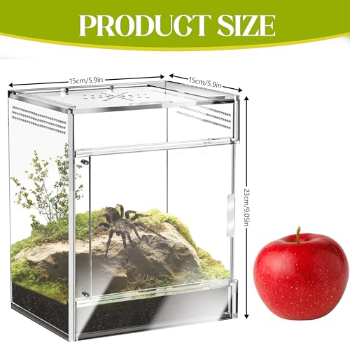 Jumping Spider Enclosure, Compact Acrylic Terrarium for Jumping Spiders, Tarantulas, and Praying Mantis - Small Insect Habitat Enclosure with Transparent Design (5.9x5.9x9.0 Inch)