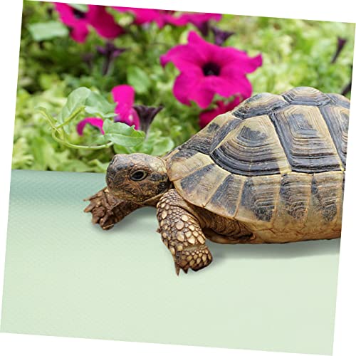 POPETPOP Reptile Carpet Terrarium Substrate Liner Large Eva Material Snake Gecko Bearded Dragon - color: Light Green
