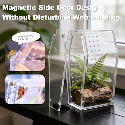 Jumping Spider Enclosure,Jumping Spider Enclosure Desktop Habitat,Terrarium (Enclosure Only) - color: Crystal Clear
