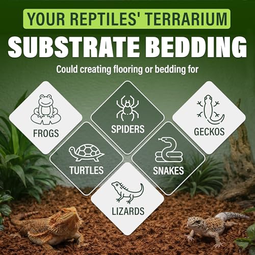 Coconut Chips Substrate 2 Bricks | 1.1 Lbs Each | Reptile Bedding for Ball Python, Bearded Dragon, Tortoise, Gecko, Lizard, Frog | Odor Absorbing | Coconut Chips for Plants, Orchid Bark Mulch - size: 2.2 Lbs (Pack of 2 - 1.1 Lbs Each)