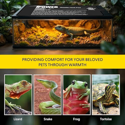 iPower 4x7 Inch Reptile Heating Pad, Under Tank Heater Terrarium Warmer Heat Mat for Turtles, Lizards, Frogs, Snakes, Safe & Energy-Efficient - color: Black/Heat Pad, size: 4" x 7"