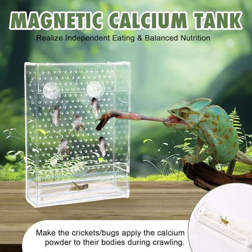 Bearded Dragon Feeder, Reptile Hunting Bowl with Calcium Powder Slot， Acrylic Chameleon Feeding Box, Wall-Mounted Insect Feeder for Lizard, Iguana, Gecko, Frog (Small) - color: Small Feeder Box