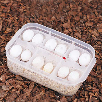 12 Grids Reptiles Eggs Incubator Tray, Amphibians Hatchery Box with Thermometer, Reptile Breeding Box, Incubation Box for Hatching Snake Lizards Turtle Gecko Egg